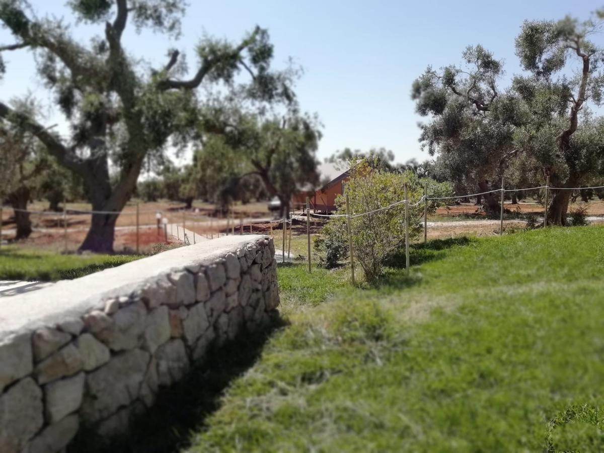 Agriturismo Marconi Porto Cesareo Exterior photo